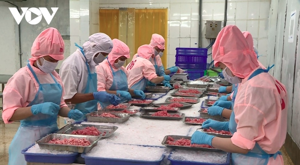 Vietnam aims for US$11 billion in seafood exports in 2025